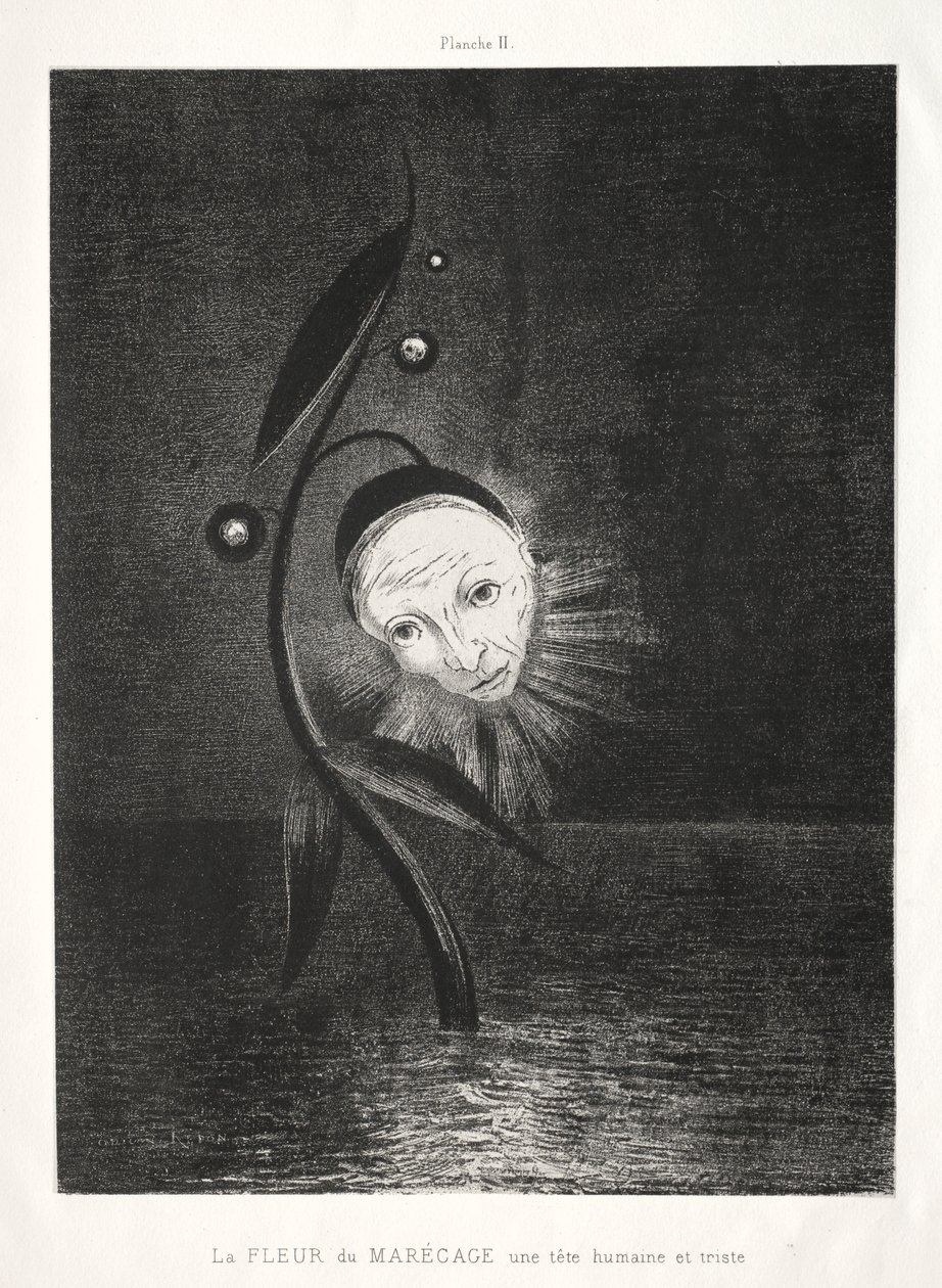 تكريم لغويا: زهرة الأهوار ، رأس إنسان حزين ، 1885. بواسطة Odilon Redon