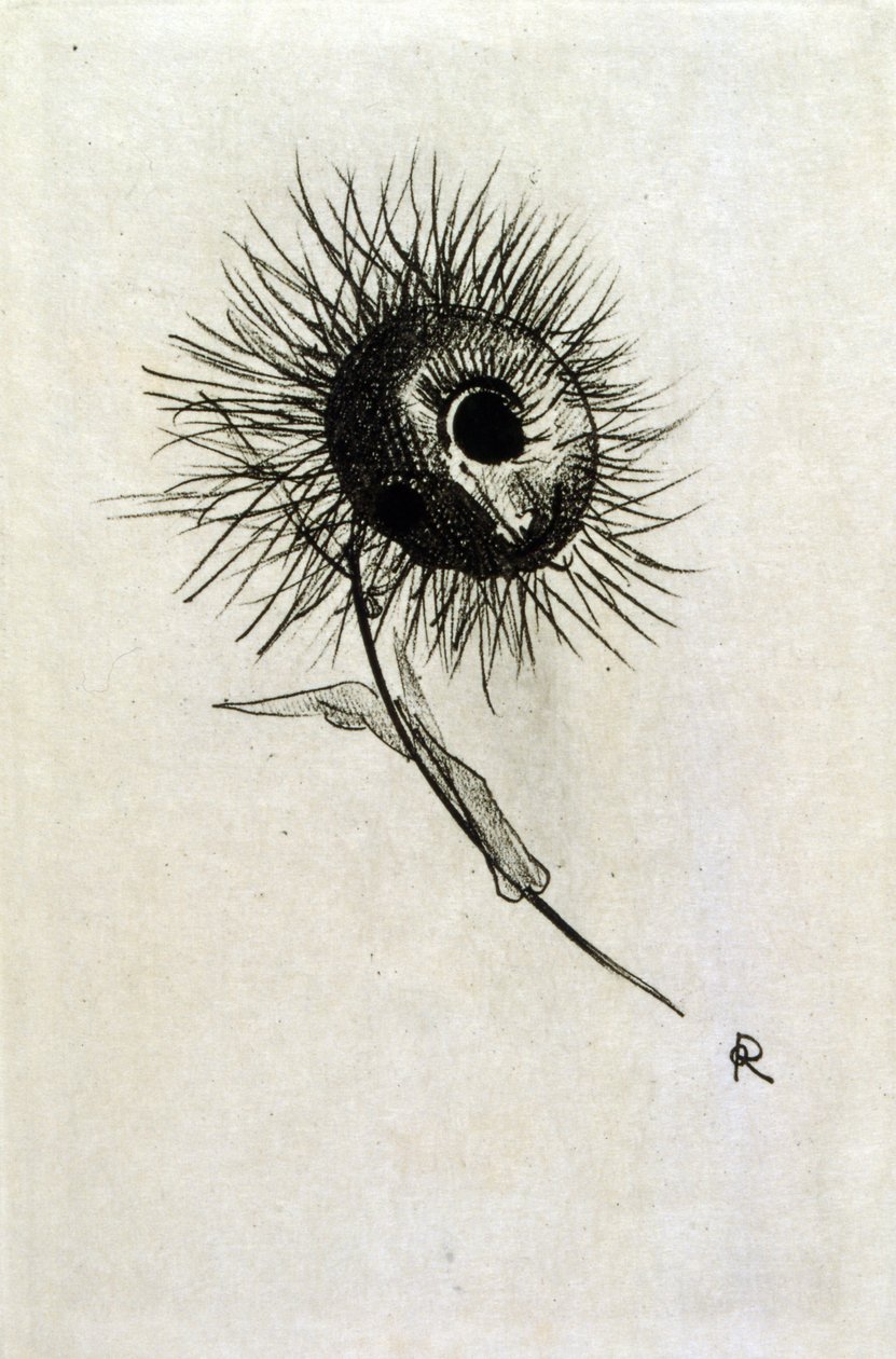 رسم توضيحي لـ "Les Fleurs du mal" بواسطة Baudelaire. 1891 (نقش) بواسطة Odilon Redon
