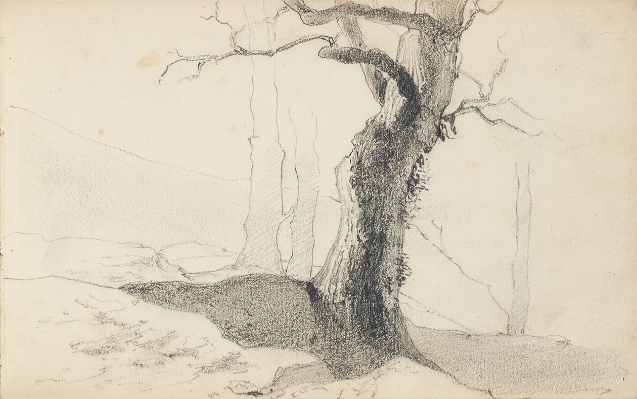 صفحة من كراسة الرسم ، "بلاد الباسك" بواسطة Odilon Redon