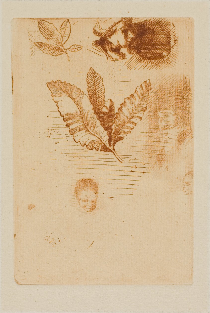 اسكتشات بواسطة Odilon Redon