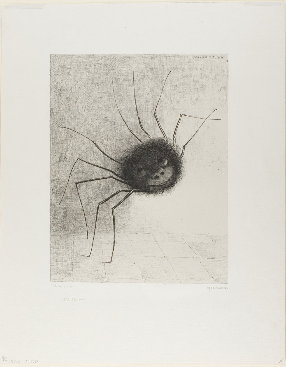 العنكبوت بواسطة Odilon Redon
