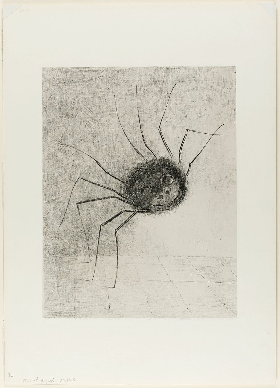 العنكبوت بواسطة Odilon Redon