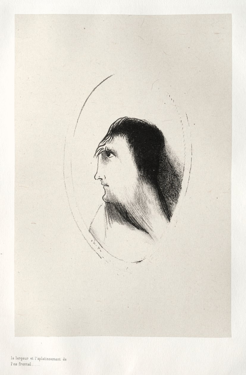 البيت المسكون: عرض واستقامة [العظم] الجبهي ، 1896. بواسطة Odilon Redon