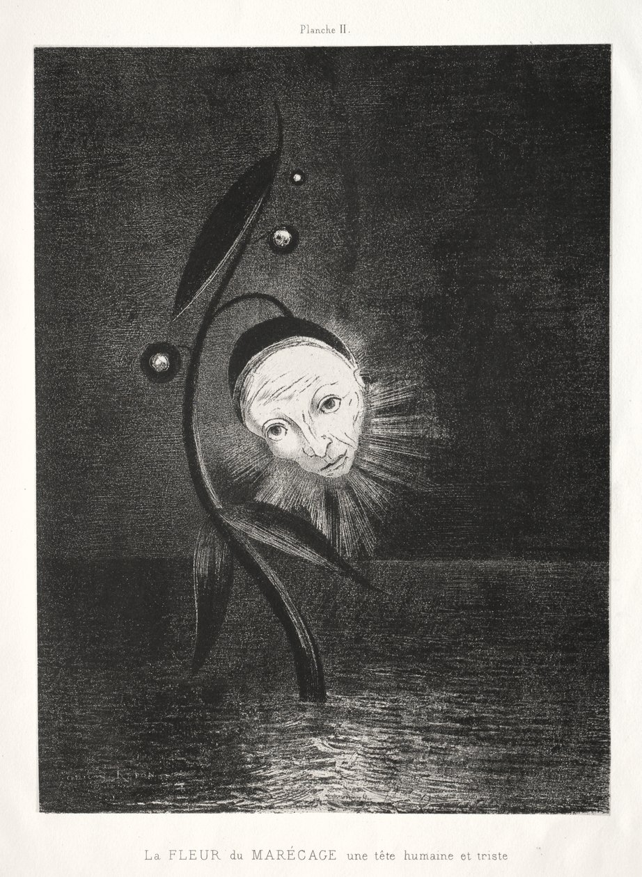 زهرة المستنقع ، رأس بشري حزين بواسطة Odilon Redon