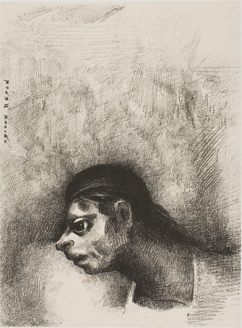  بواسطة Odilon Redon