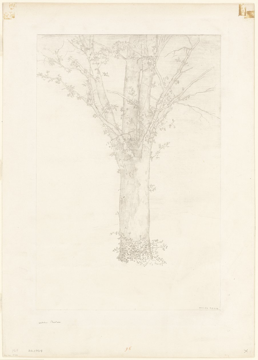 شجرة بواسطة Odilon Redon
