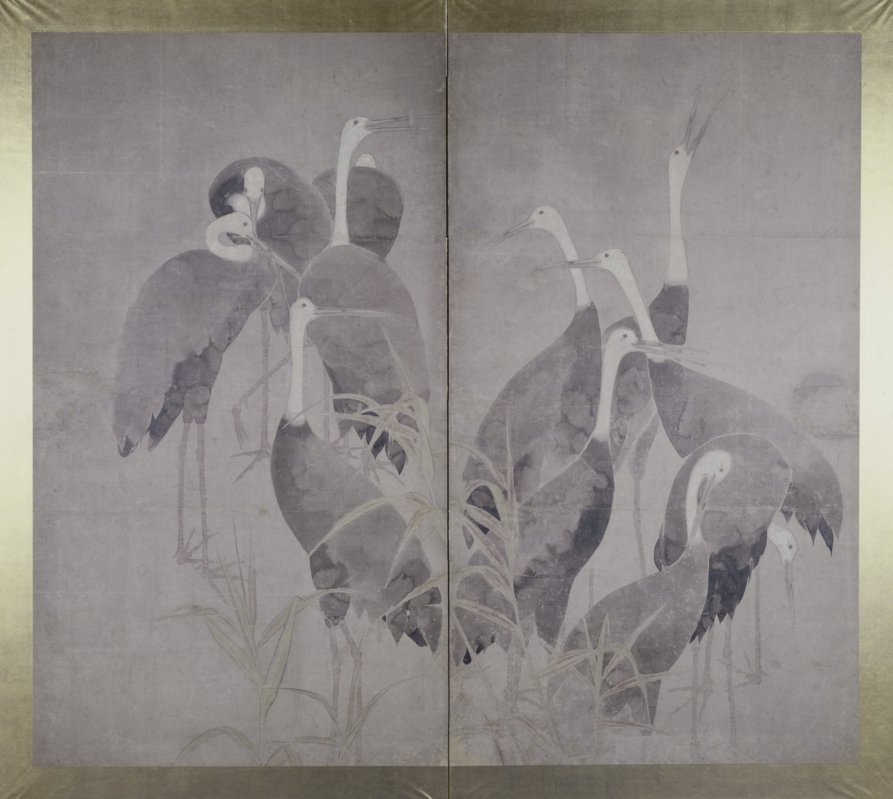 إحدى عشر رافعات تقف في سرير جاف من القصب ، c.1700-50 (حبر وألوان على ورق) بواسطة أوغاتا كورين