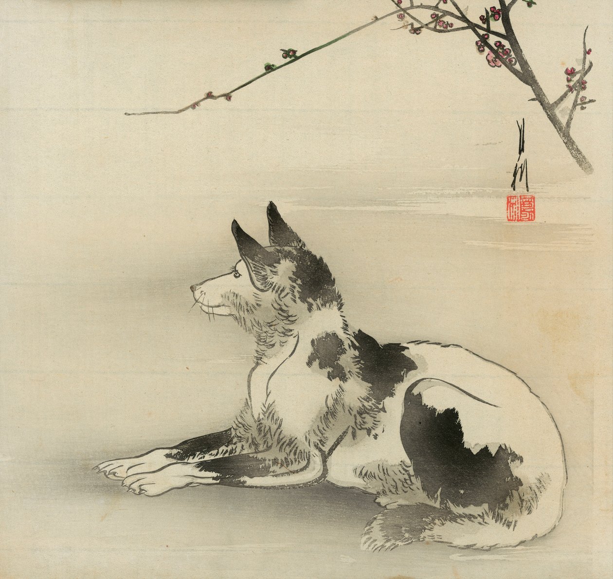 Black and white dog بواسطة أوغاتا جيكو