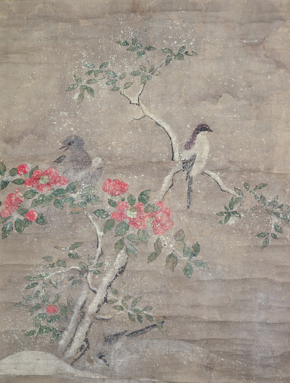 طيور وكاميليا في الثلج ، ج 1700 (حبر وألوان على ورق) بواسطة Ogawa Haritsu
