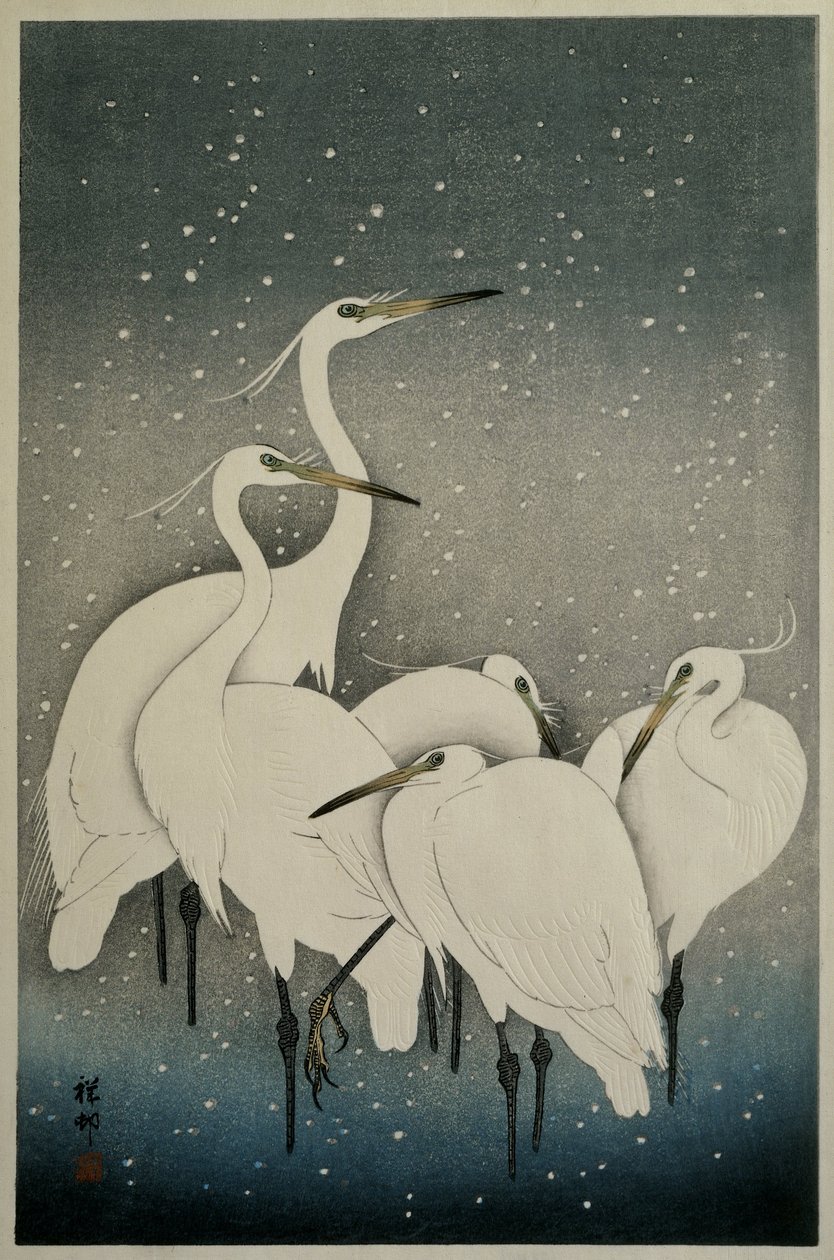 مجموعة Egrets ، 1925-1936 بواسطة اوهارا كوسون