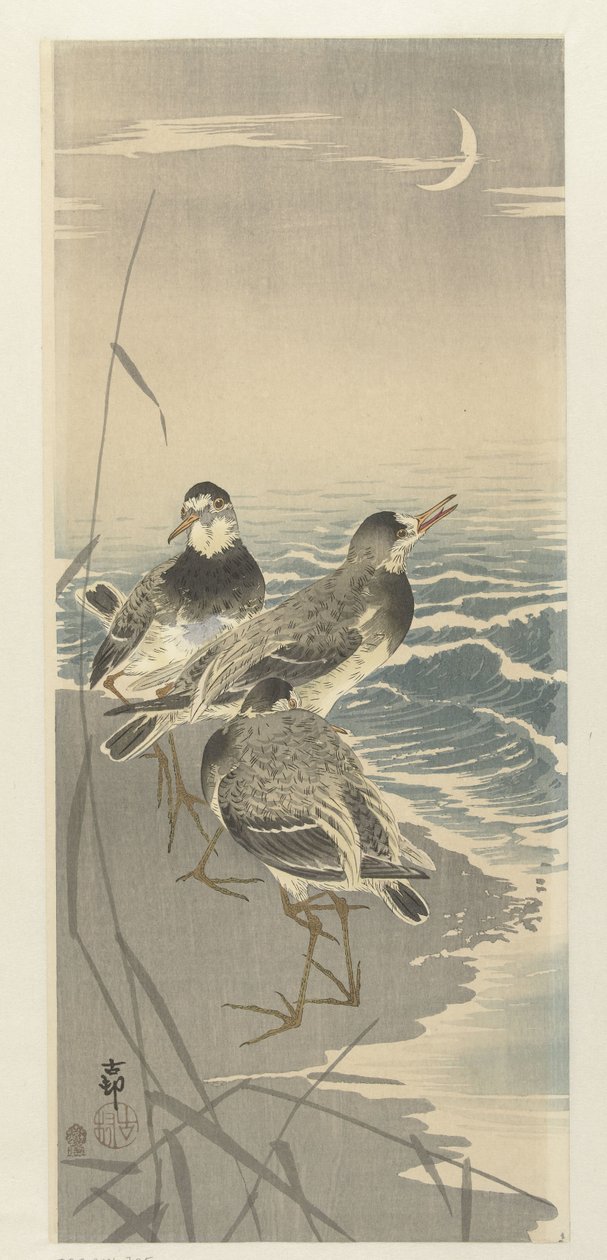 Sandpipers في هلال القمر بواسطة اوهارا كوسون