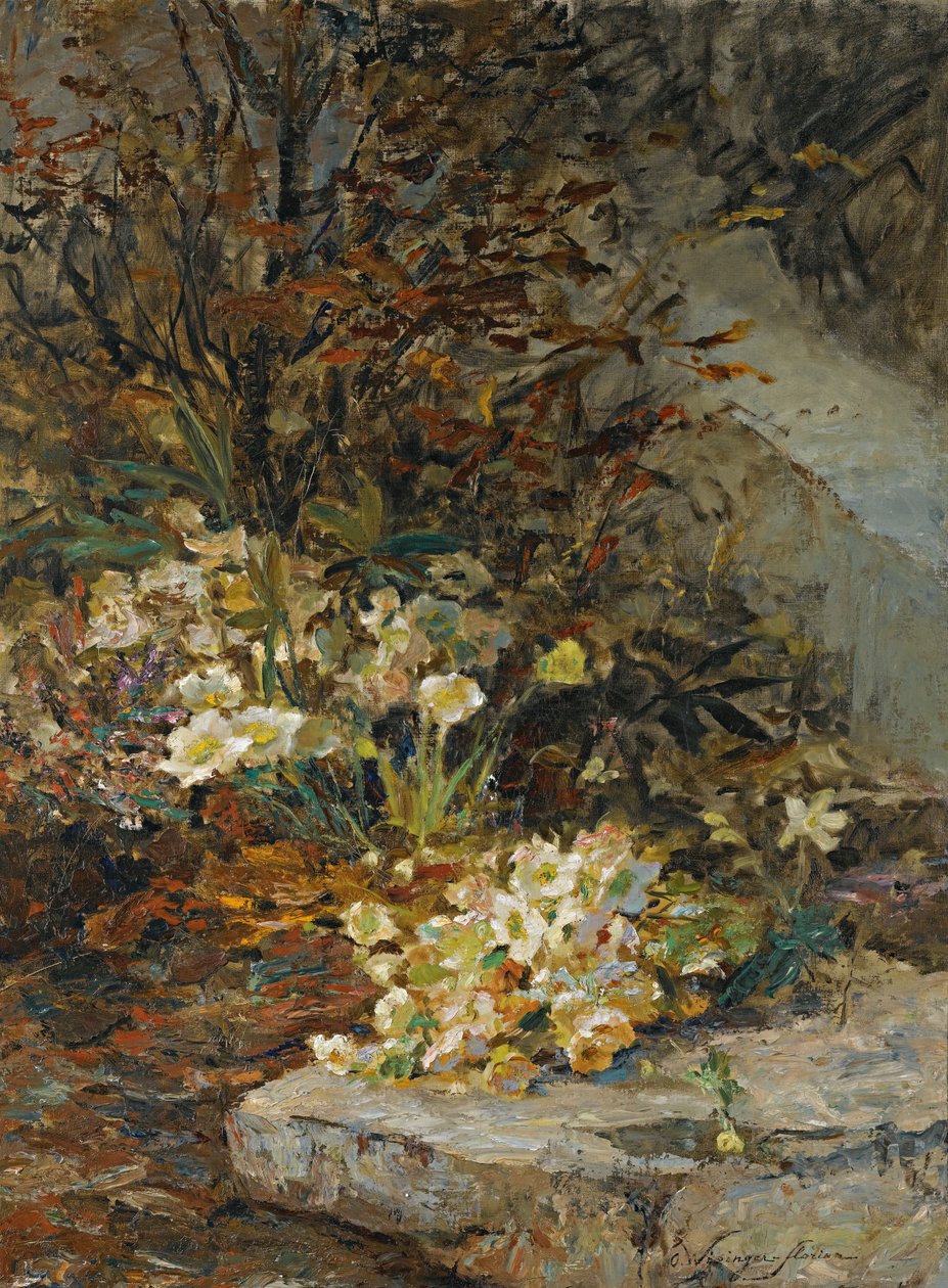 Hellebores بواسطة أولجا ويزينجر فلوريان