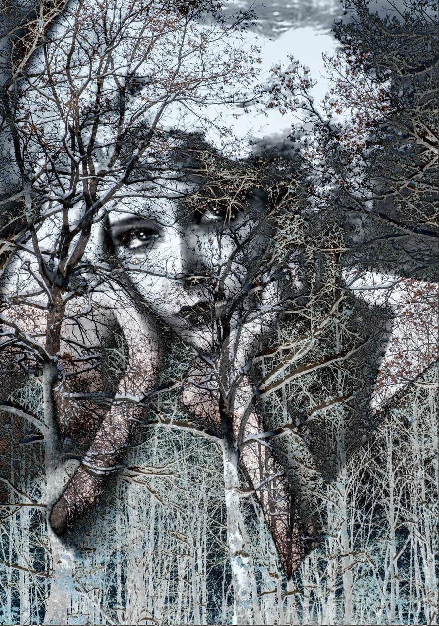 بورتريه شتوي بالسالب، 2021 (وسائط رقمية مختلطة) بواسطة 