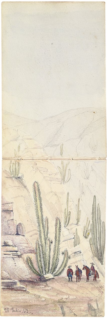 الصبار في أعماق "Quebrada" ، 1863 بواسطة أوزوالد يونغهاوس