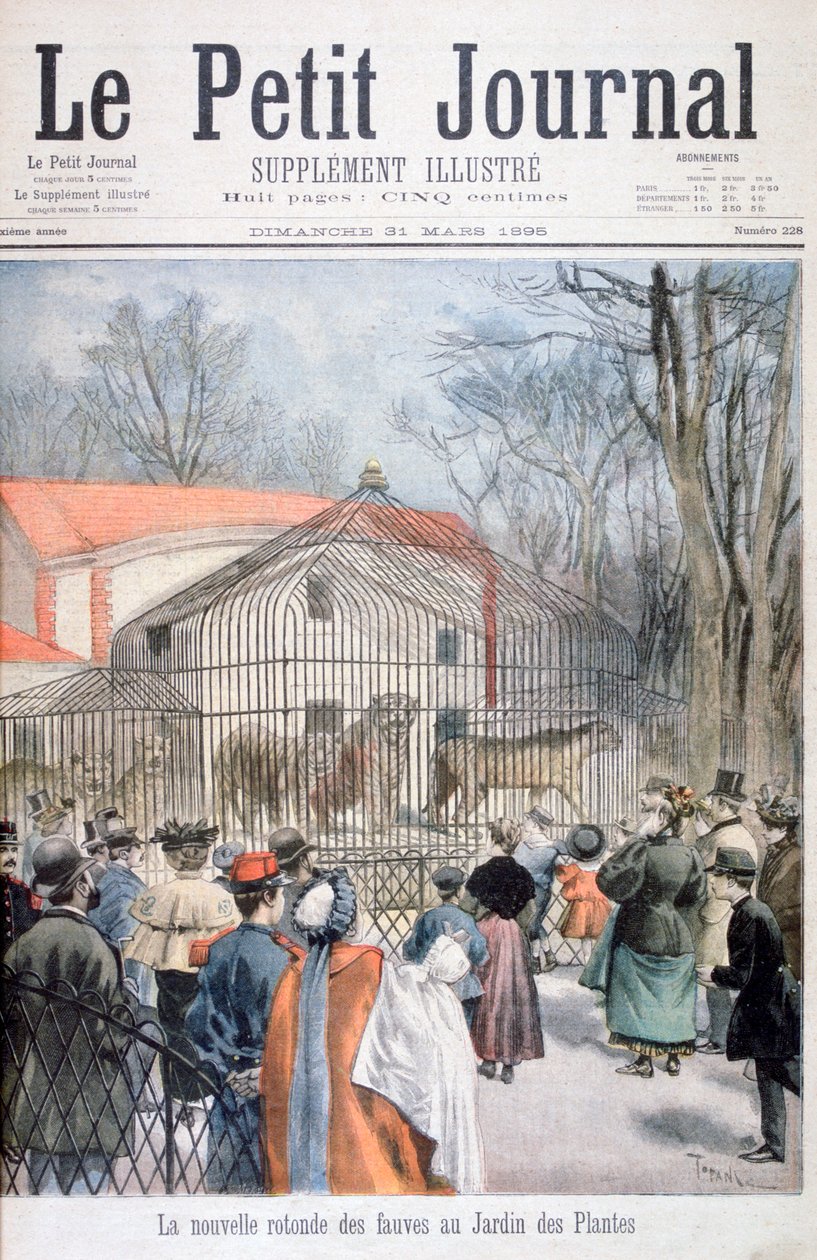 منزل wildcat الجديد في Jardin des Plantes ، باريس ، 1895 بواسطة أوزوالدو توفاني