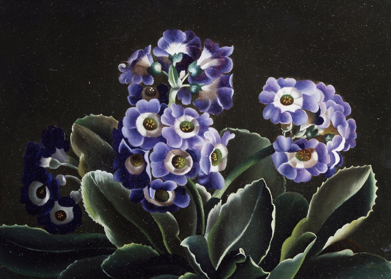 زهرة الربيع الصامتة بواسطة أوتو ديدريك أوتيسن