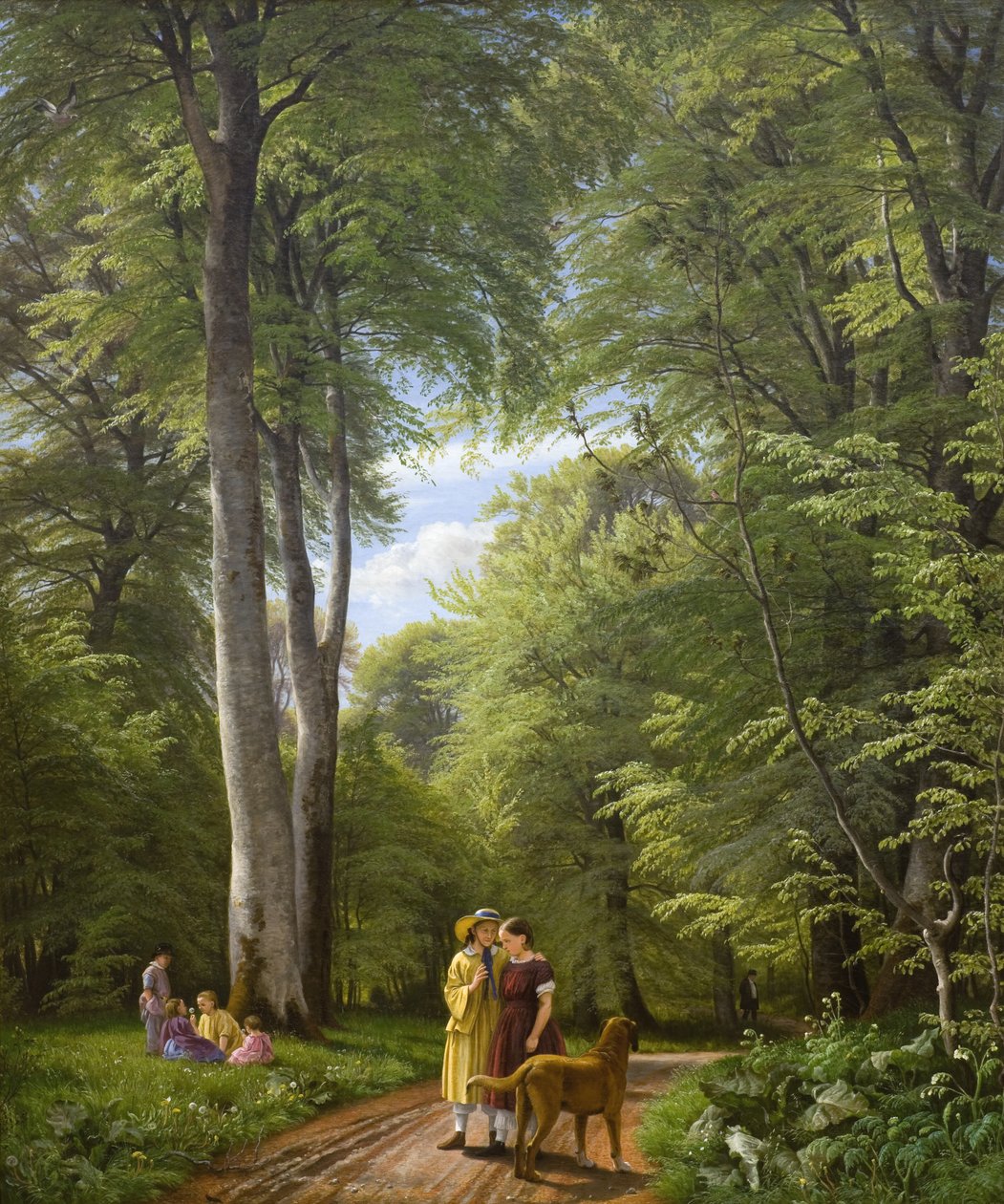 A Beech Wood في مايو بالقرب من Iselingen Manor ، نيوزيلندا بواسطة PC Skovgaard