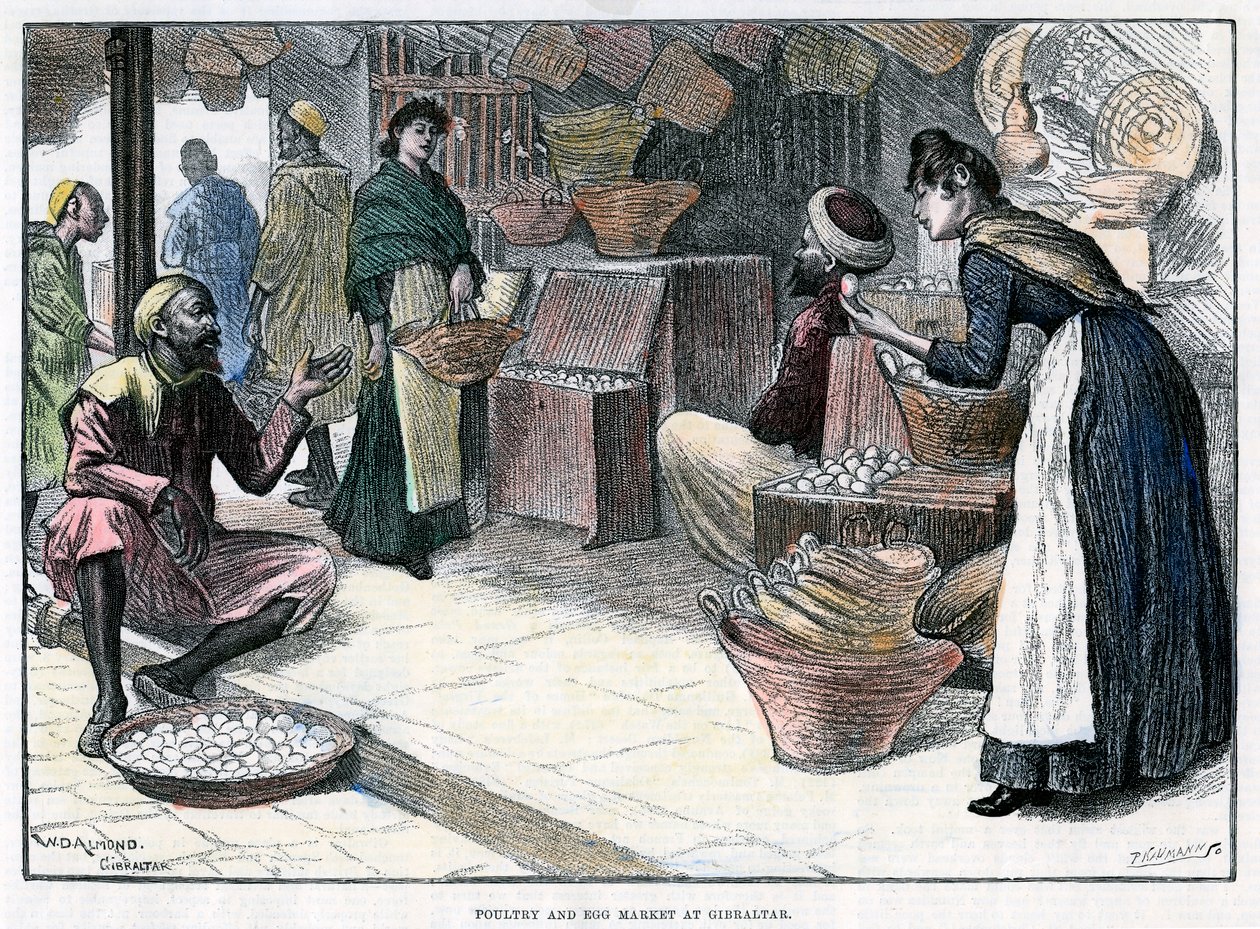 سوق الدواجن والبيض في جبل طارق ، عام 1880. بواسطة ف نومان