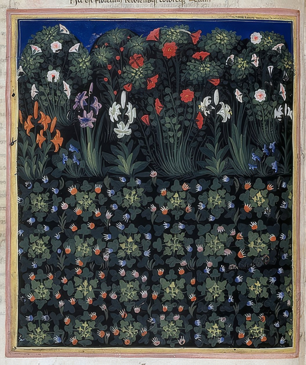 الحديقة (من: Regia Carmina by Convenevole da Prato). حوالي 1335 بواسطة باتشينو دي بوناجويدا