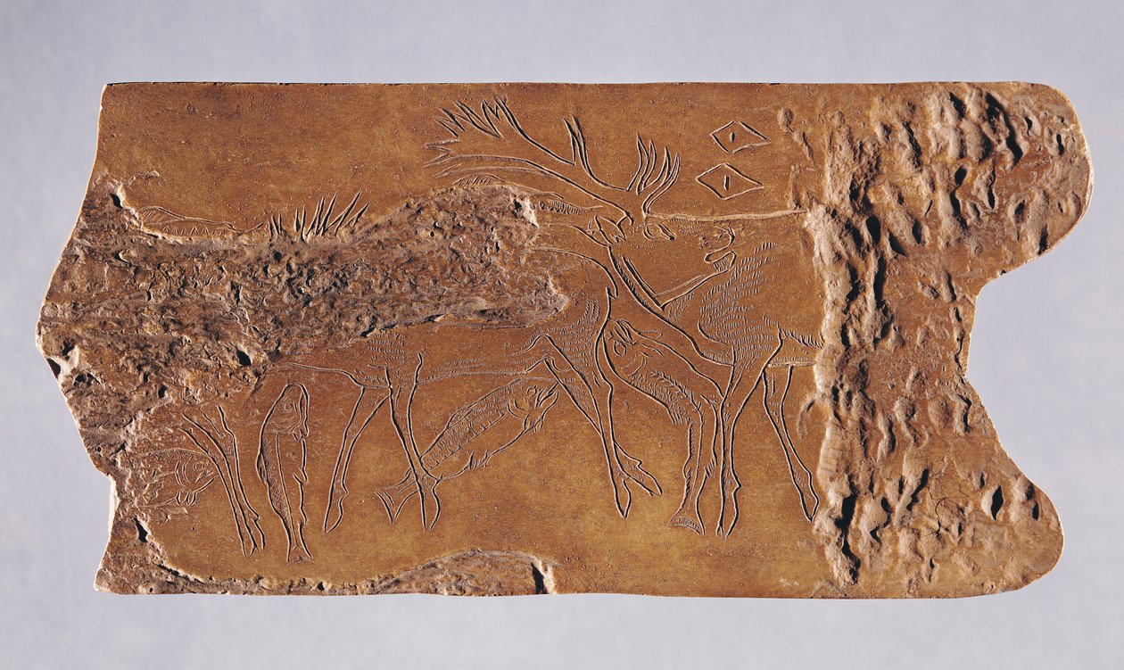 قرن الرنة منحوت مع غزال وطي سمك السلمون ، من Grotte de Lortet ، المجدلية ، 15000-18000 قبل الميلاد (القرن) بواسطة العصر الحجري القديم