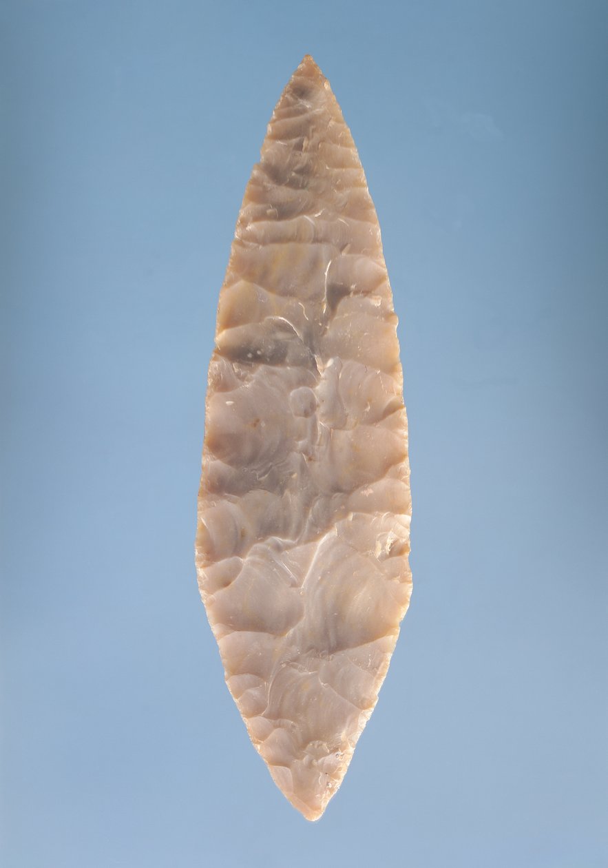 شفرة Solutrean &39;laurel leaf&39; ، وجدت في فولجو ، 20000-15000 قبل الميلاد بواسطة العصر الحجري القديم