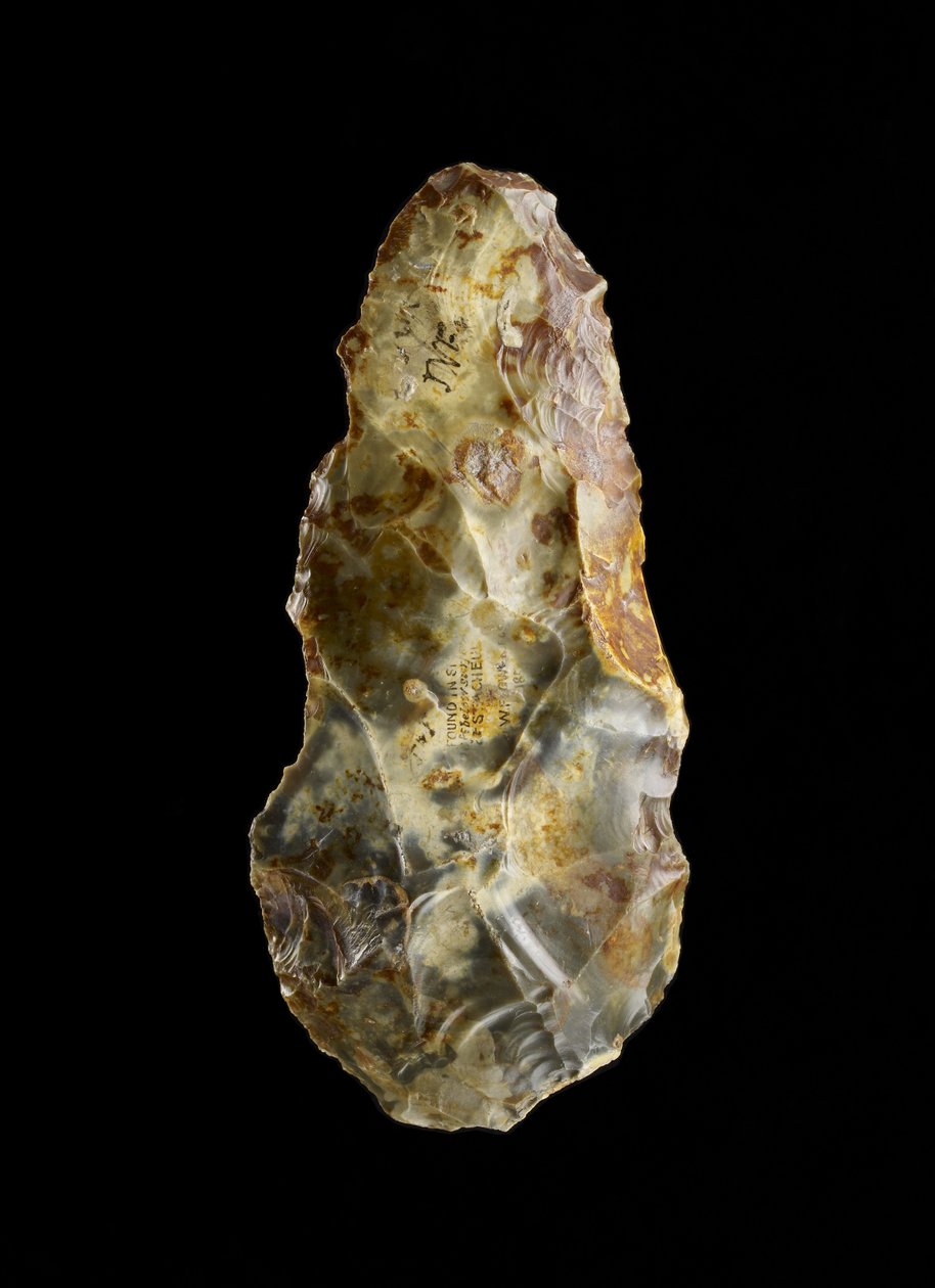Handaxe (الصوان) بواسطة العصر الحجري القديم