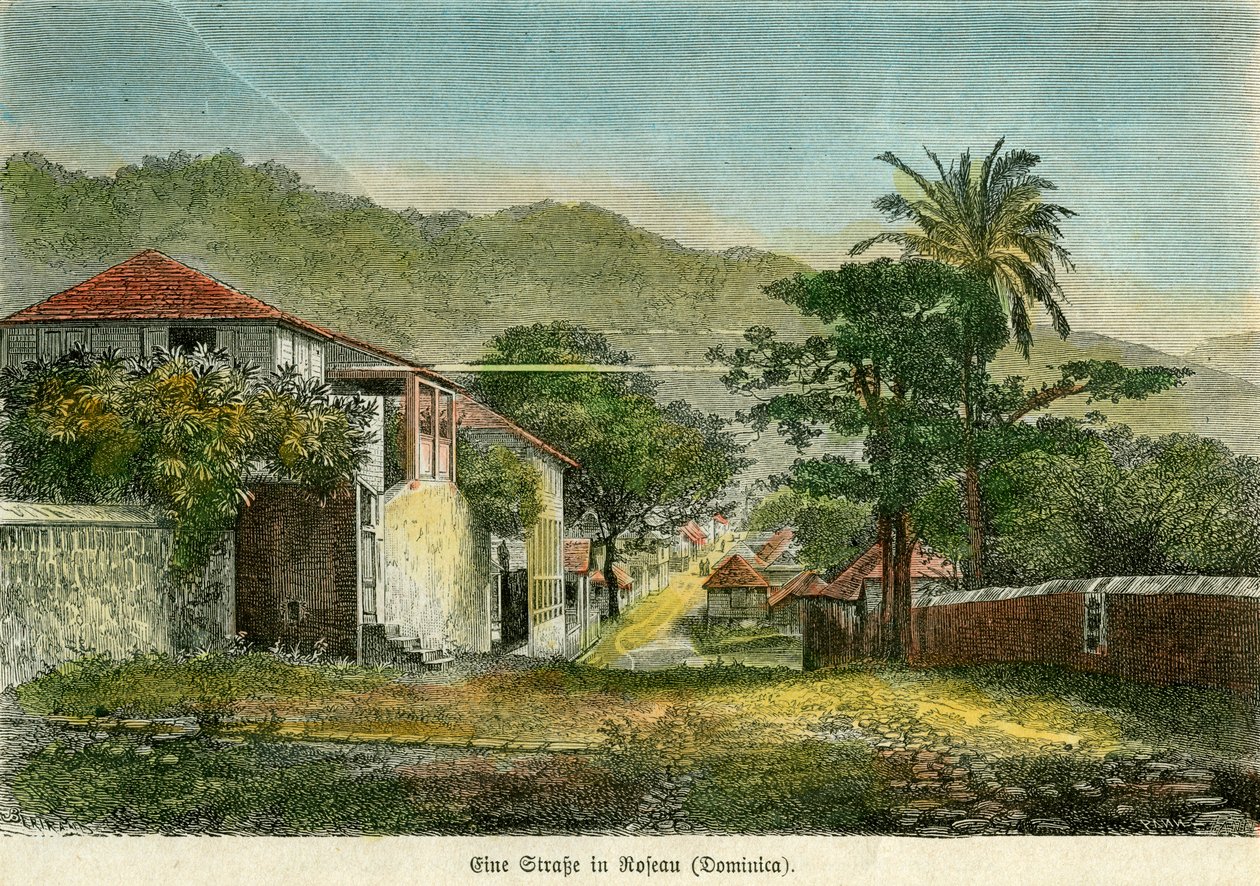 شارع في روسو ، دومينيكا ، حوالي عام 1880. بواسطة خلل