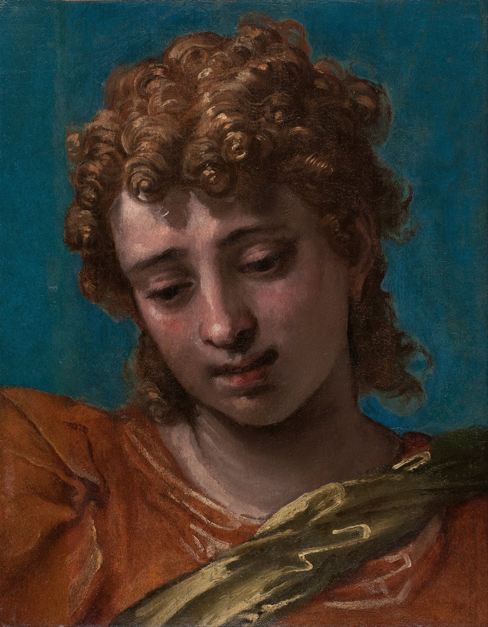 رأس القديس ميخائيل ، من بتروبيلي Altarpiece بواسطة باولو كالياري