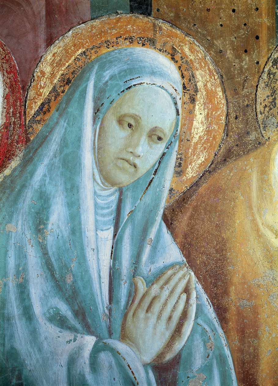 رأس القديسة آن من تقديم مريم في الهيكل ، 1433-1434 (تفاصيل) بواسطة باولو أوشيلو