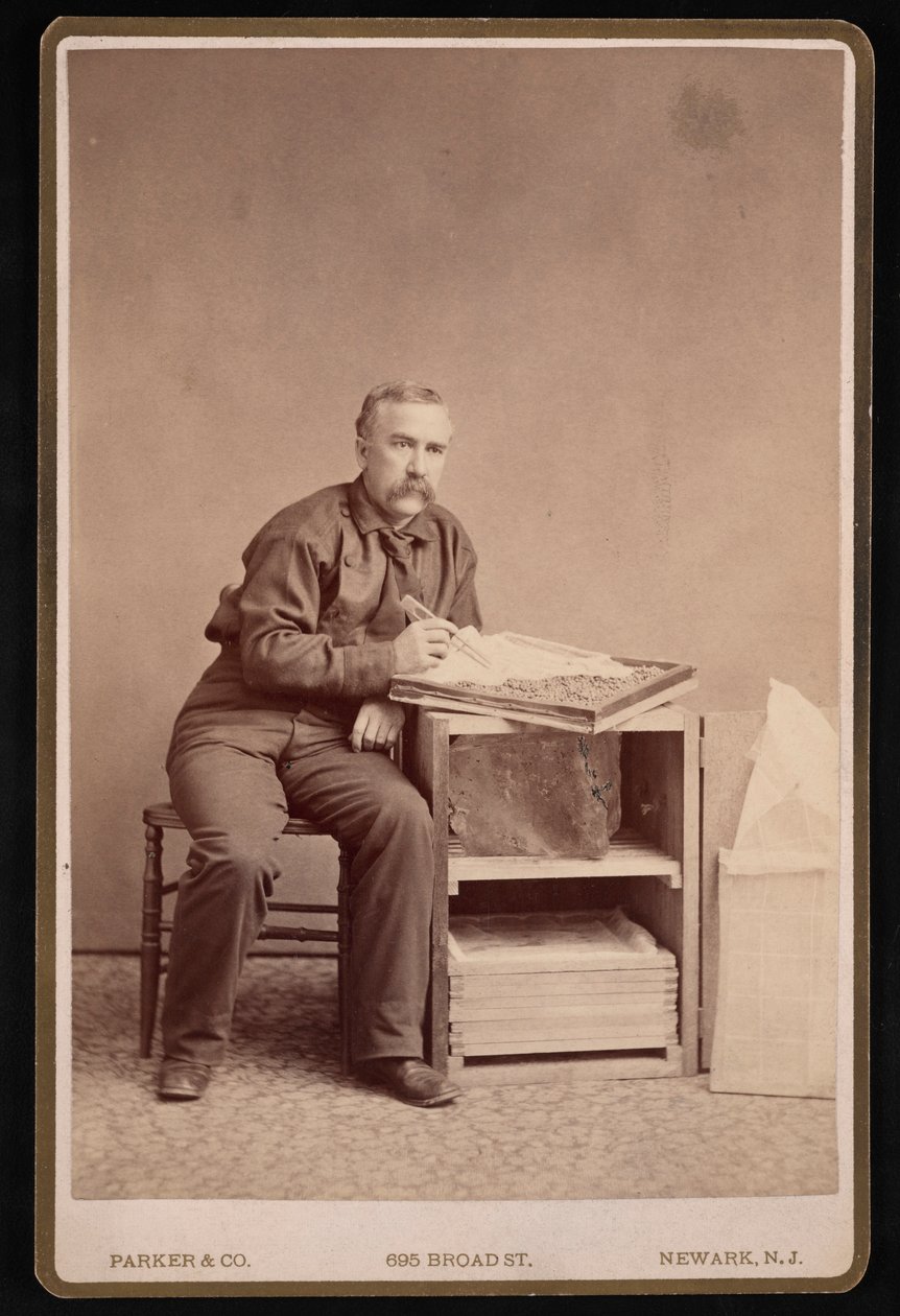 صورة شخصية لفريد ماثر 1833-1900 ، قبل عام 1887. بواسطة باركر وشركاه