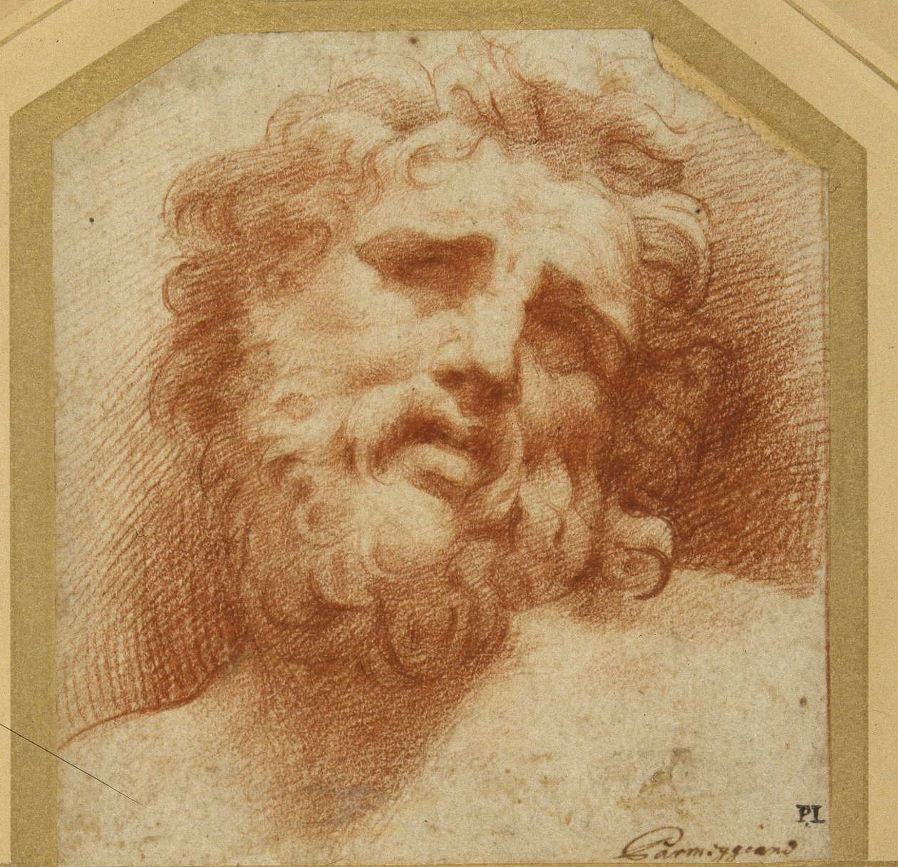 A bearded head, looking up (possibly Laocoon) (red chalk on white paper) بواسطة بارميجيانينو
