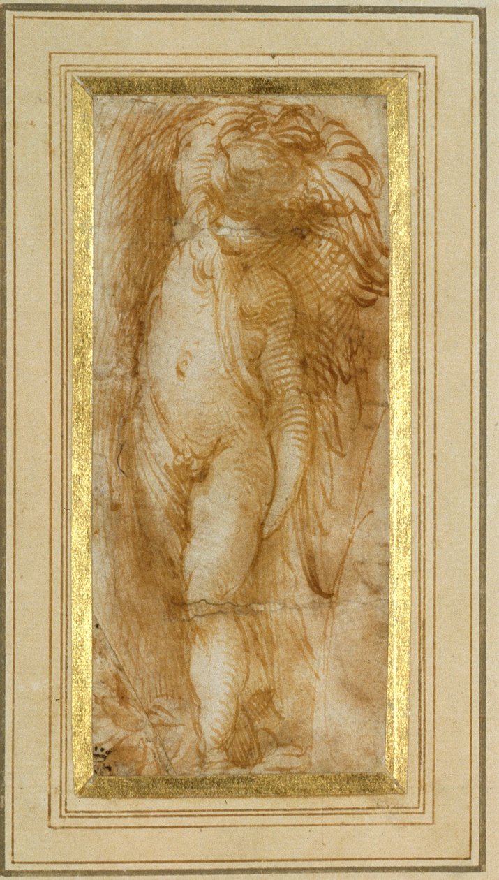 A putto turned to the left (pen & brown ink on paper) بواسطة بارميجيانينو