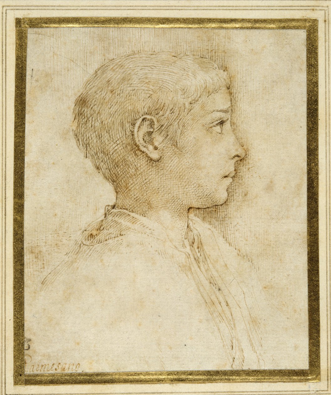 Bust of a boy in profile to the right (pen & brown ink on white paper) بواسطة بارميجيانينو