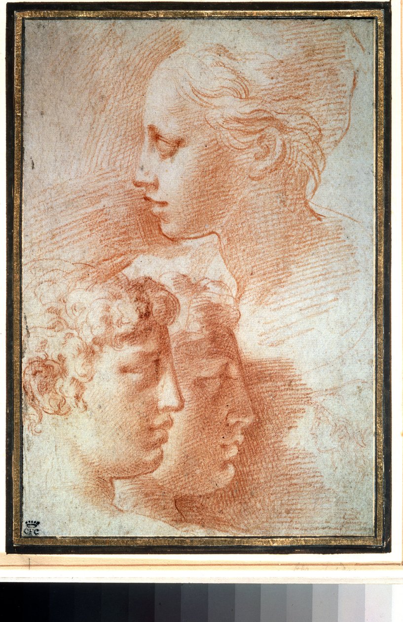 "Etude de tetes" (دراسة الرؤوس). الفتاة والفتيان الوجه الشخصي. رسم جيرولامو فرانشيسكو ماريا مازولا أو ماتزولي ديت إيل بارميجيانينو (بارميزان بواسطة بارميجيانينو