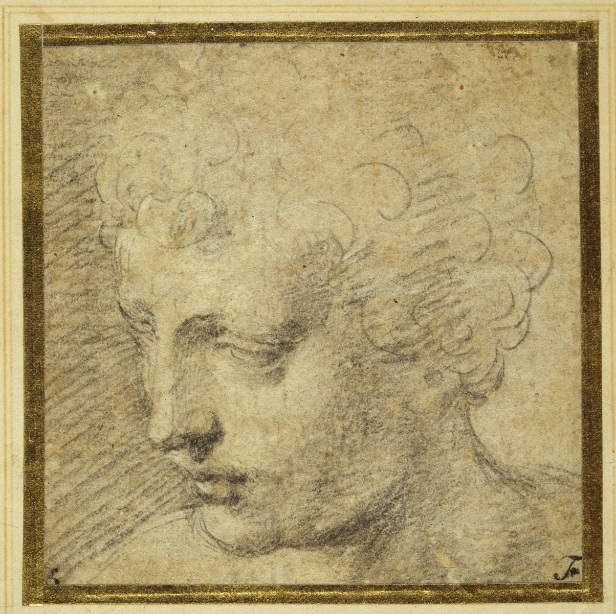 Head of a boy, nearly in profile to the left (black chalk on tinted paper) بواسطة بارميجيانينو