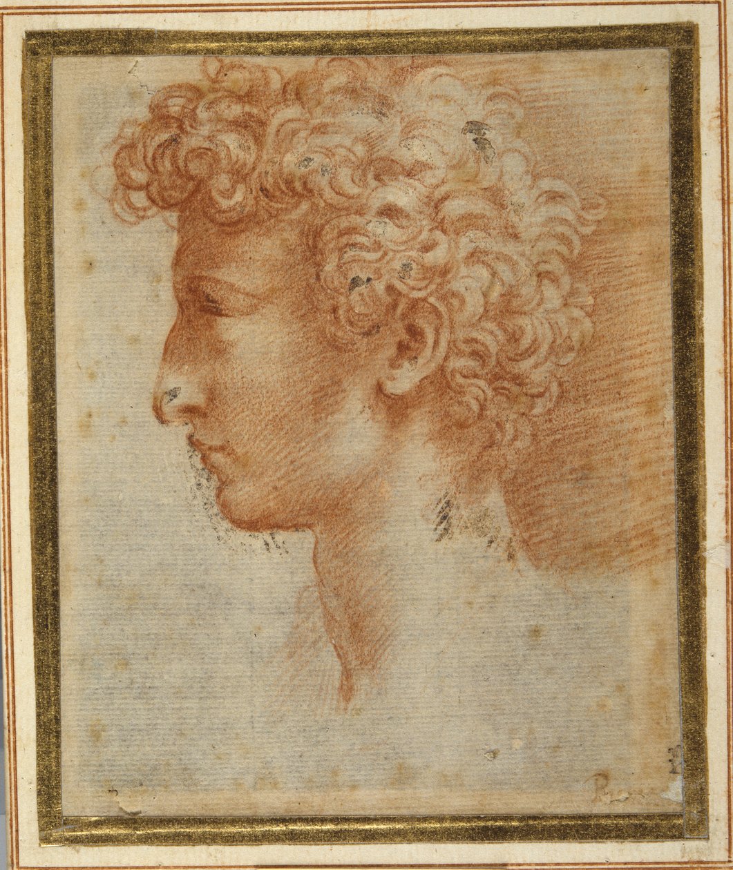 Profile of a young man (red chalk on white paper) بواسطة بارميجيانينو