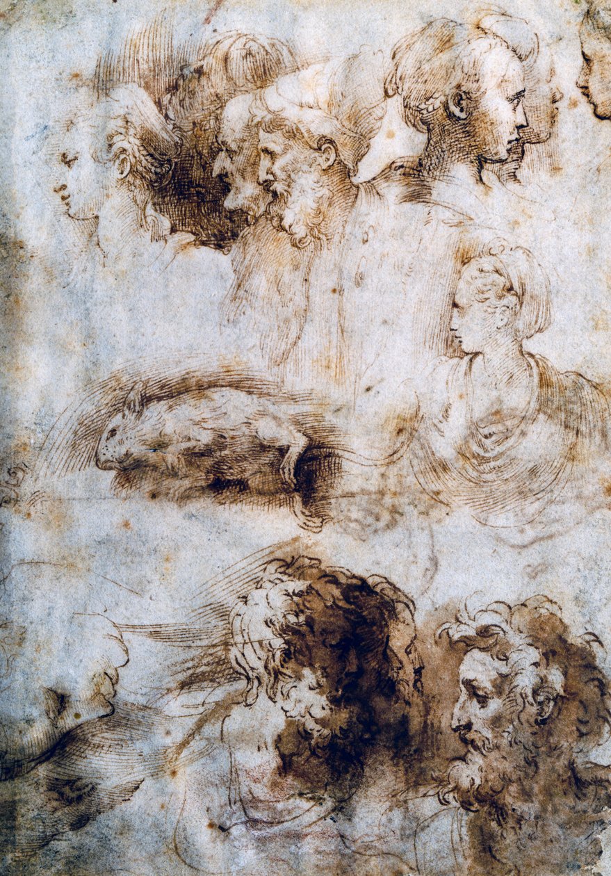 Study for a dead mouse, male and female profiles بواسطة بارميجيانينو