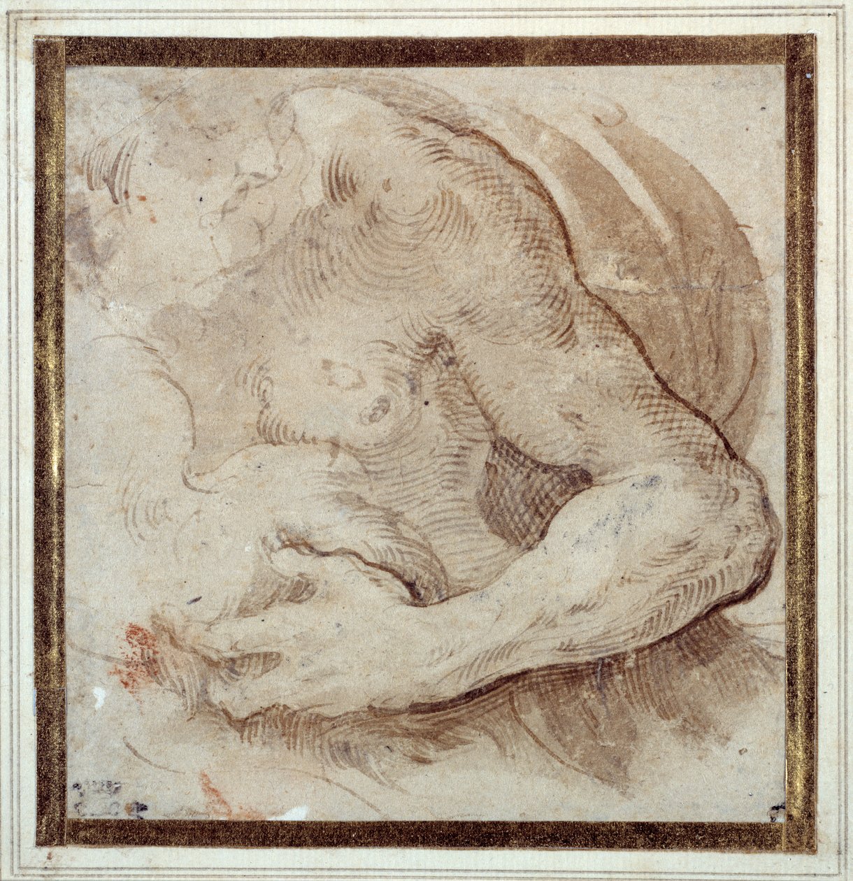 Study of the left arm, chest and head of a bearded man (pen & brown ink with red chalk on cream paper) بواسطة بارميجيانينو