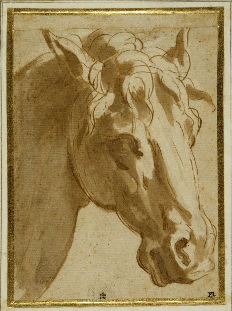The head and neck of a horse (pen & brown ink with wash on cream paper) بواسطة بارميجيانينو