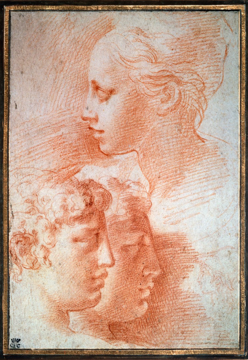 دراسة الرؤوس c1527 بواسطة بارميجيانينو