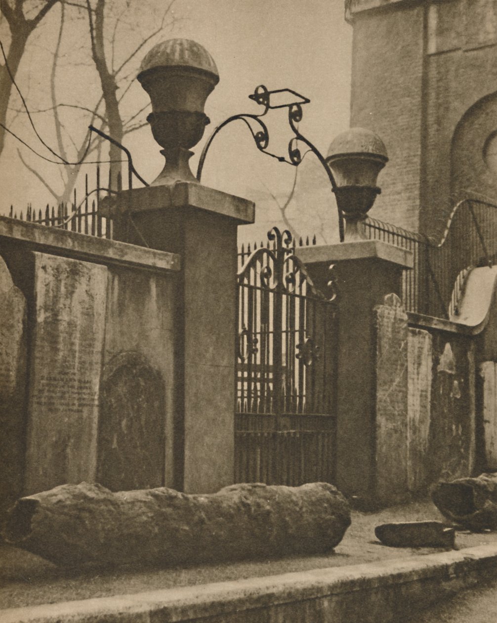 إلم جذوع أنابيب القناة حفرت بالقرب من سانت آنز ، سوهو ، c1935. بواسطة باترسون
