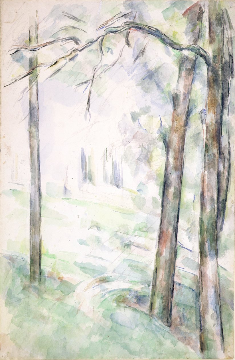 PD.6-1966r The Woods، Aix-en-Provence، c.1890 (مرحاض وطباشير) بواسطة بول سيزان