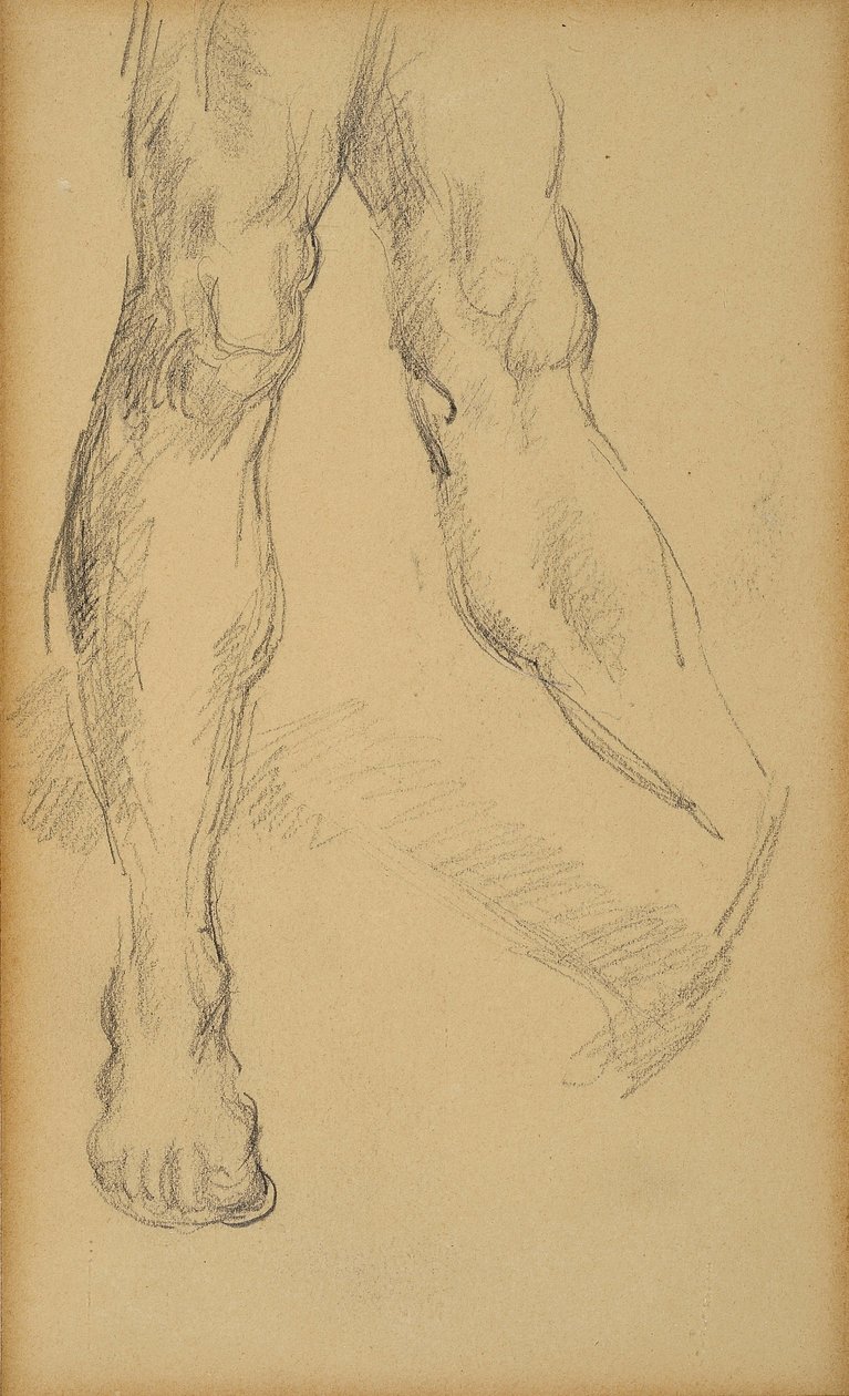 دراسة الساقين. رسم بول سيزان (1839-1906). الرصاص على الورق. خافت: 19،4 × 11،8 سم. Musee Granet ، إيكس إن بروفانس. بواسطة بول سيزان
