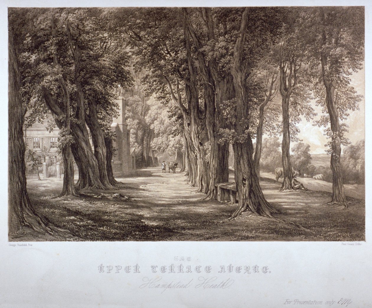 شارع أبر تيراس ، هامبستيد هيث ، لندن ، c1840 بواسطة بول جوتشي