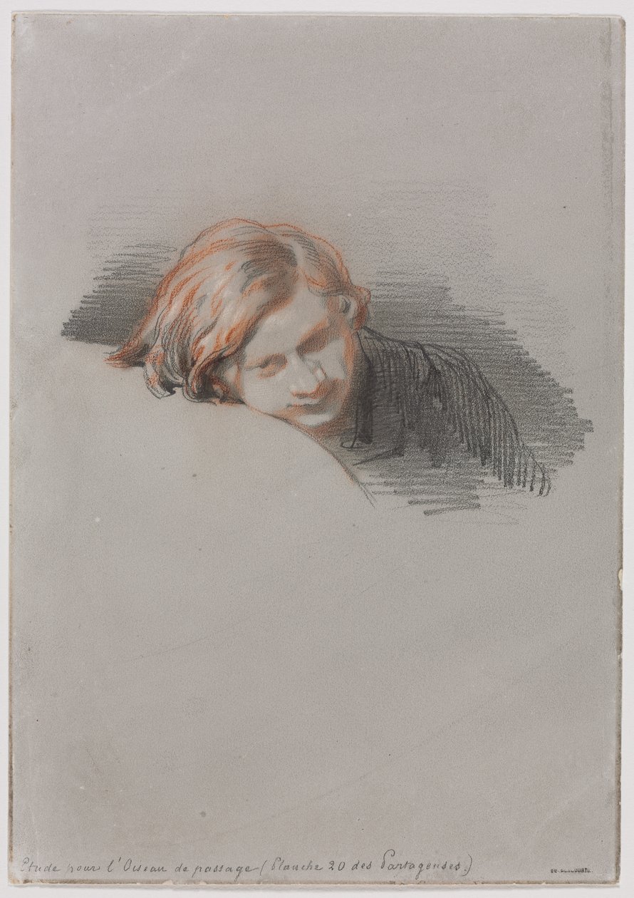 رئيس دراسة شاب لـ LOiseau de passage ، 1853. بواسطة بول جافارني