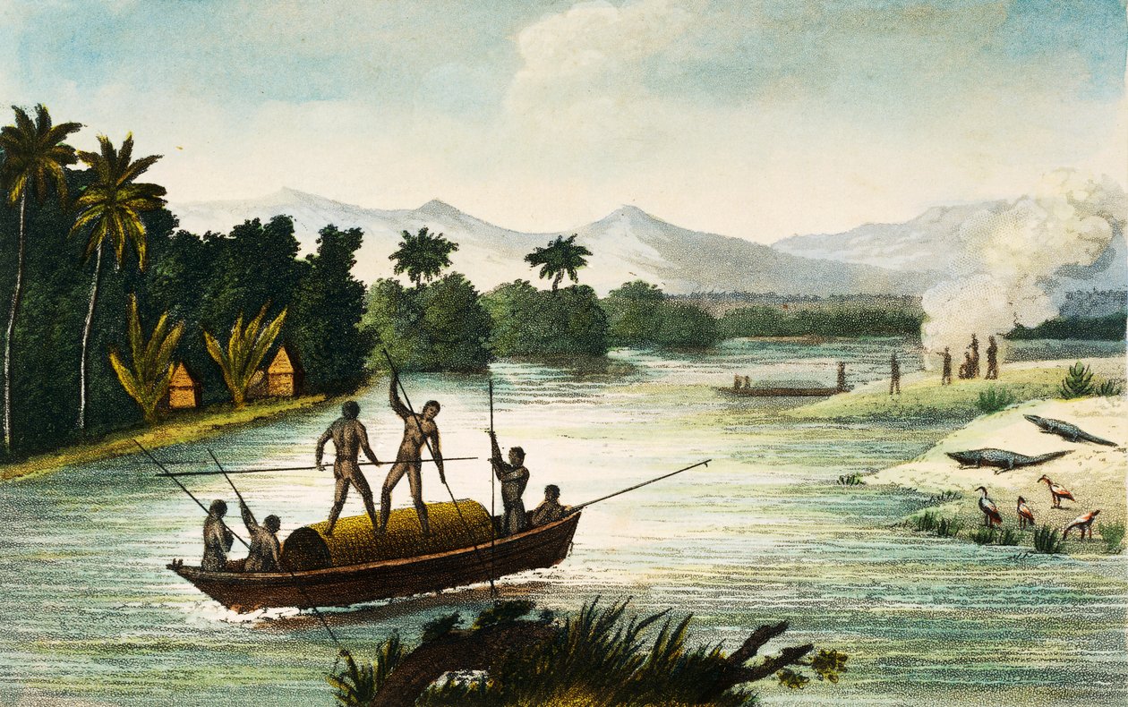 نهر ماغدالينا ، كولومبيا ، نقش بول ليجراند من سفريات في جمهورية كولومبيا في عامي 1822 و 1823 ، بقلم غاسبارد ثيودور مولين (1796-1872) ، أمريكا الجنوبية بواسطة بول ليجراند