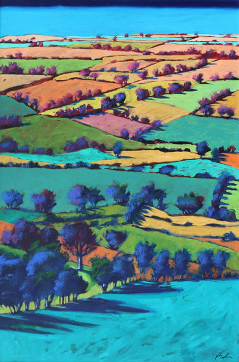 Teme Valley Summer I (أكريليك على اللوح) بواسطة بول بويس