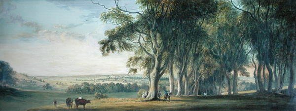 منظر لويندسور ، من Snow Hill في Great Park بواسطة بول ساندبي