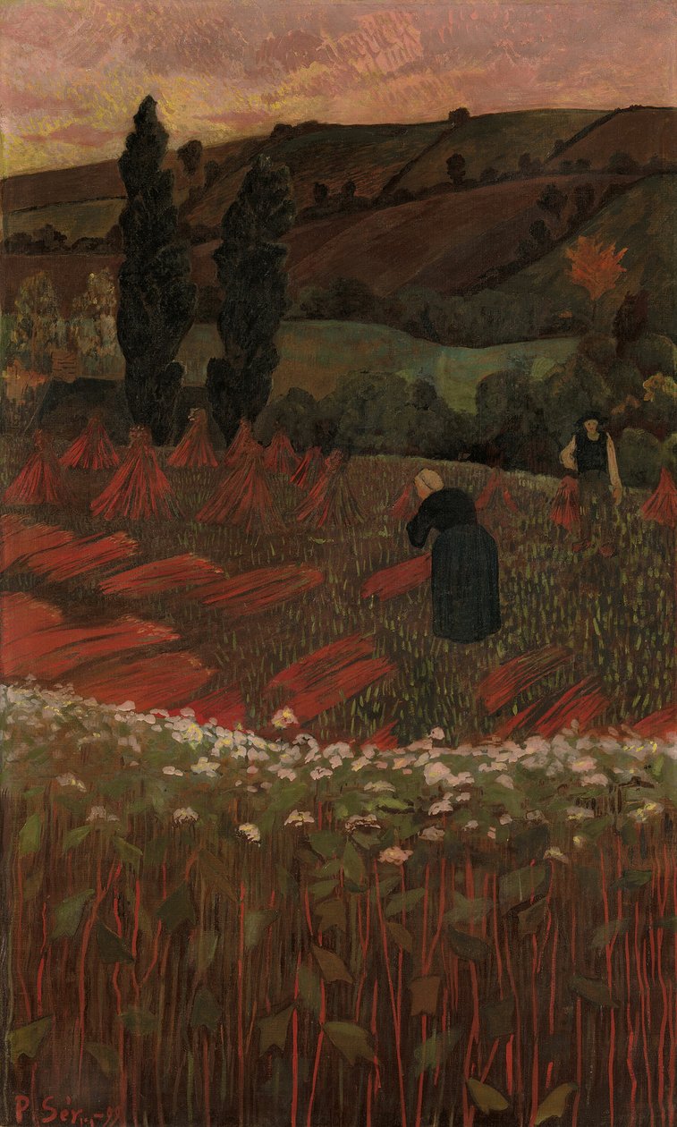 حصاد الحنطة السوداء 1899. بواسطة بول سيروسييه