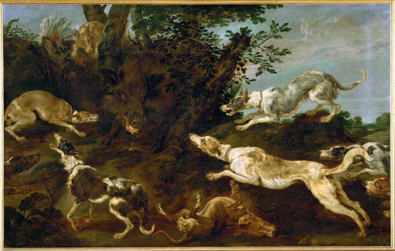 صيد الخنازير بواسطة بول دي فوس